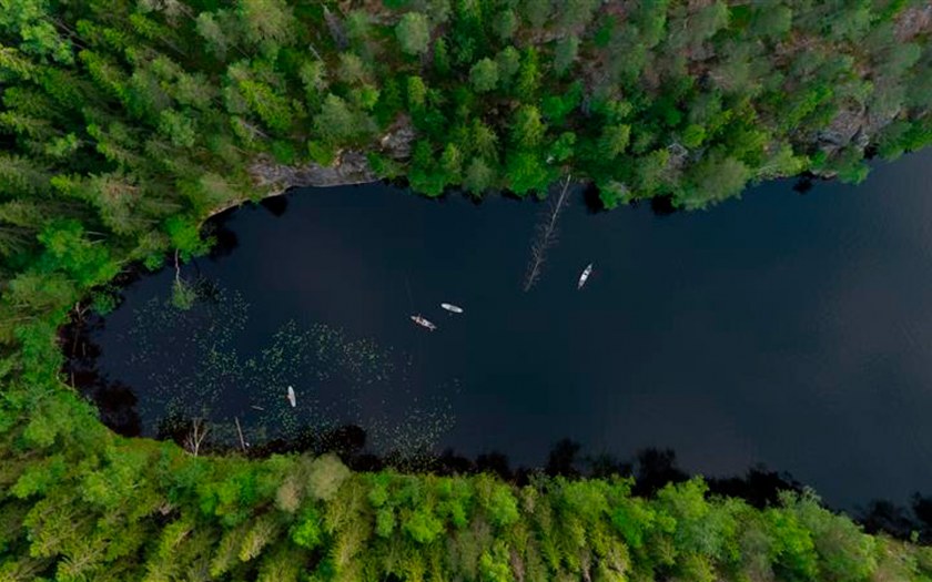 A lake and forest pictured from above.