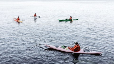A group paddling in the archipelago of Espoo