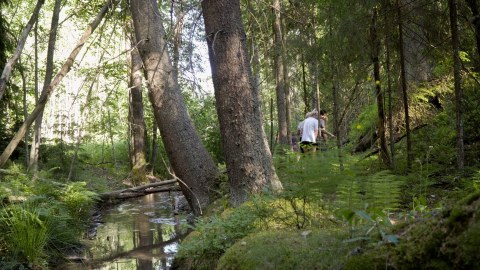 Exploring the beautiful Finnish nature