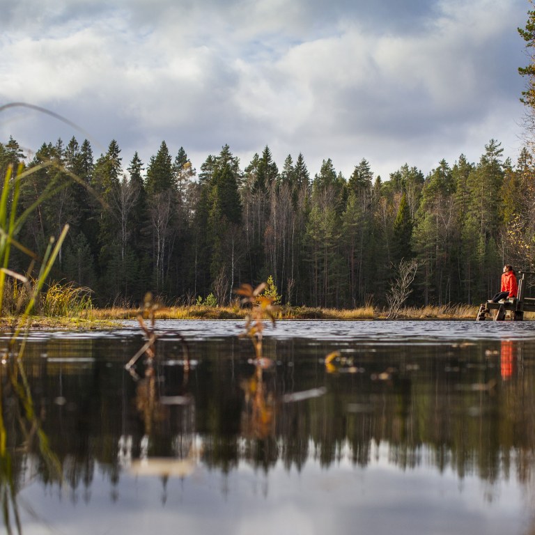 A woman in a red jacket sits on a pier on a forest lake in Nuuksio National Park.