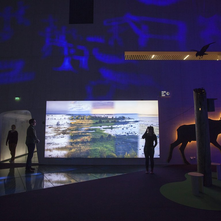 Pimeä näyttelytila jossa vuodenaika kuvia ja eläin mytologiaa