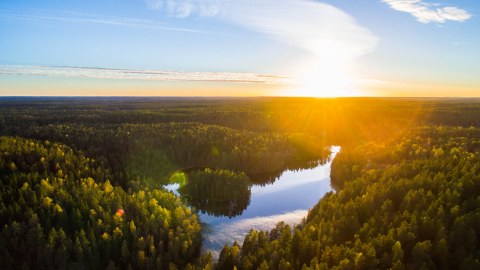 Aerial view of Nuuksio National Park in autumn