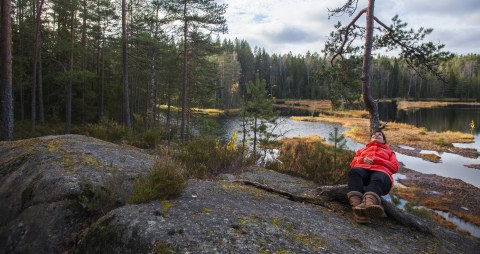 A woman in a red jacket is lying against a tree on a rock in Nuuksio National Park