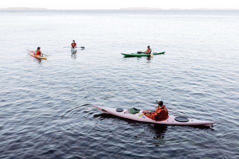 A group paddling in the archipelago of Espoo
