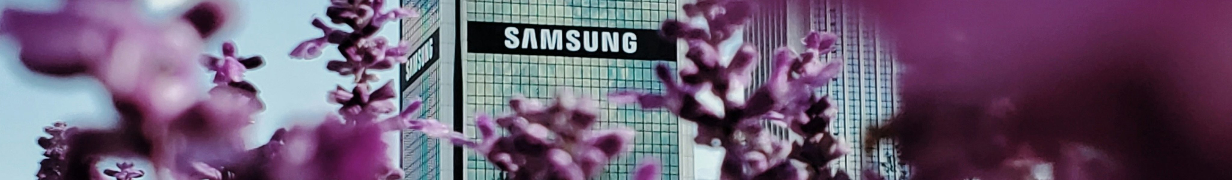 Samsung office building pictured through violet-coloured flowers.