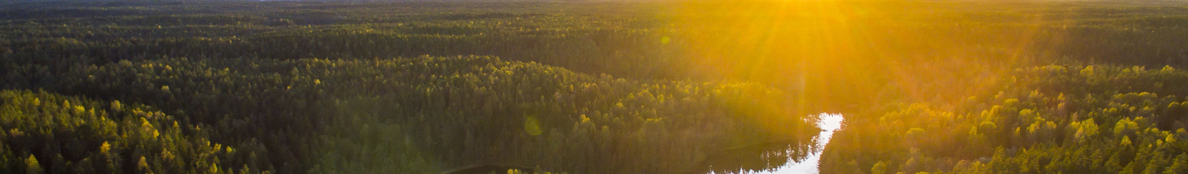 Aerial image of Nuuksio National Park in Espoo, Finland with the sun rising in a landscape of forests and lakes.