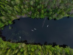 Aerial view of the forest lake in Nuuksio National Park. Three people are stand up paddling..