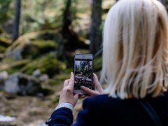 A woman with her back to the viewer is photographing the forest in front of her with a cell phone camera.