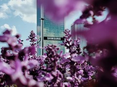 Samsung office building pictured through violet-coloured flowers.